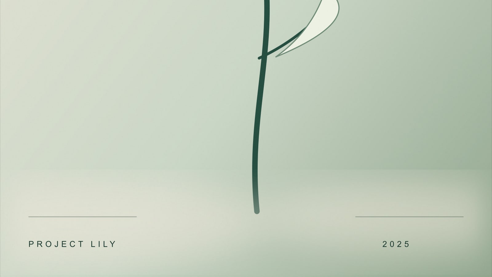 铃兰计划 作品图 3